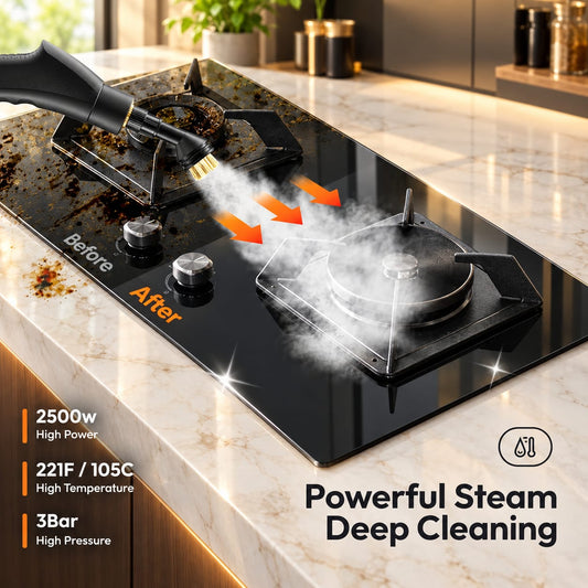 Portable Steam Cleaner
