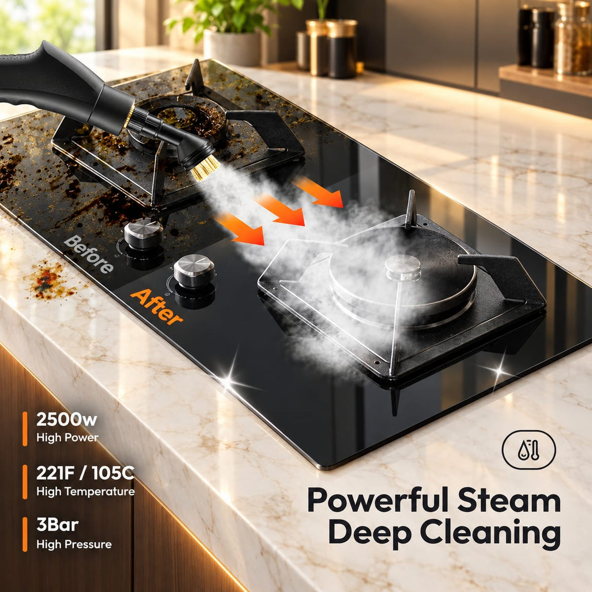 Portable Steam Cleaner